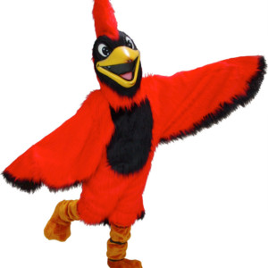 Red Cardinal Mascot Uniform