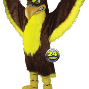 Falcon Mascot Uniform