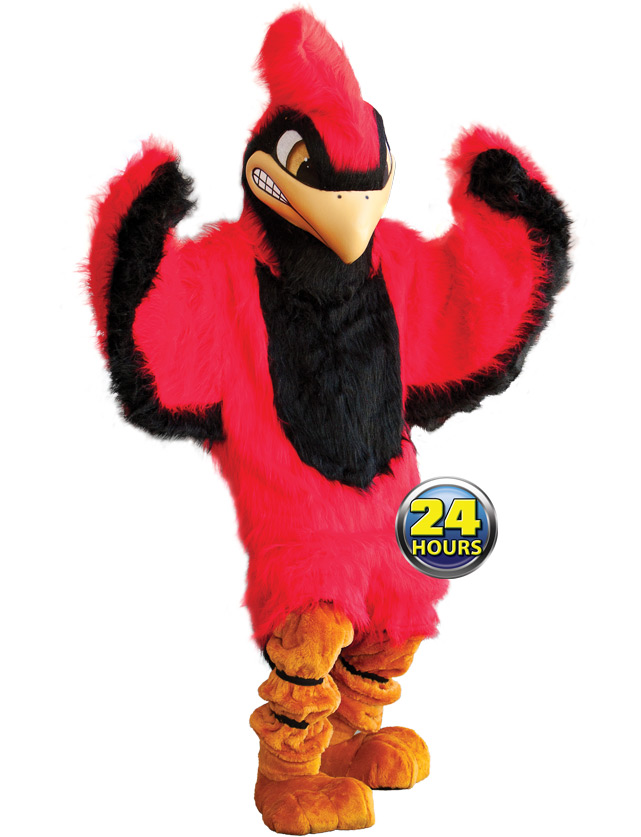 Cardinal Mascot Uniform