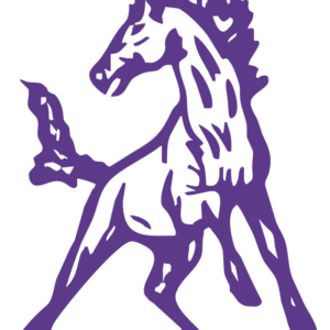 Purple Horse Temporary Tattoos