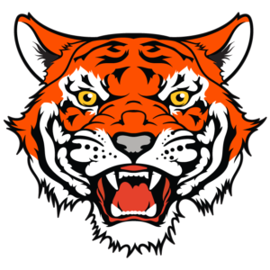 Orange Tiger Head Temporary Tattoo