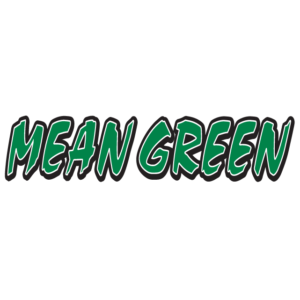 Mean Green Spirit Strip Temporary Tattoos