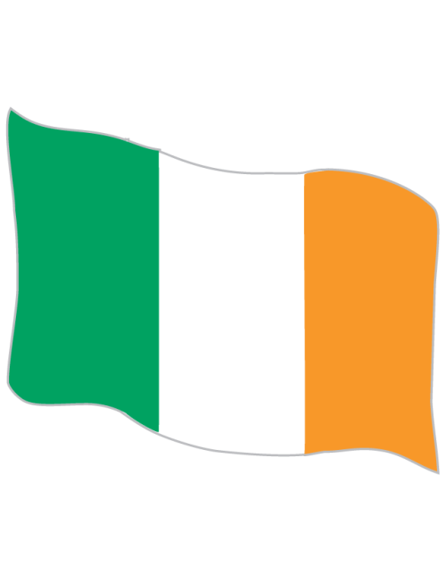 Irish Flag Waterless Tattoos